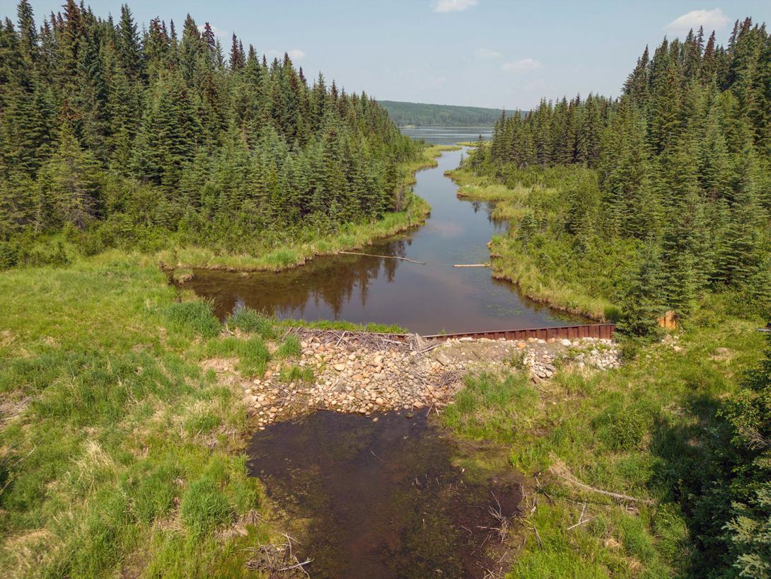 The weir on the Scott Lake wetland will be rebuilt this summer to preserve the 67-hectare wetland that would otherwise be decommissioned. | June 2023