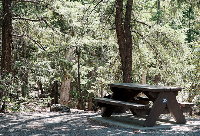 recreation site picnic table 