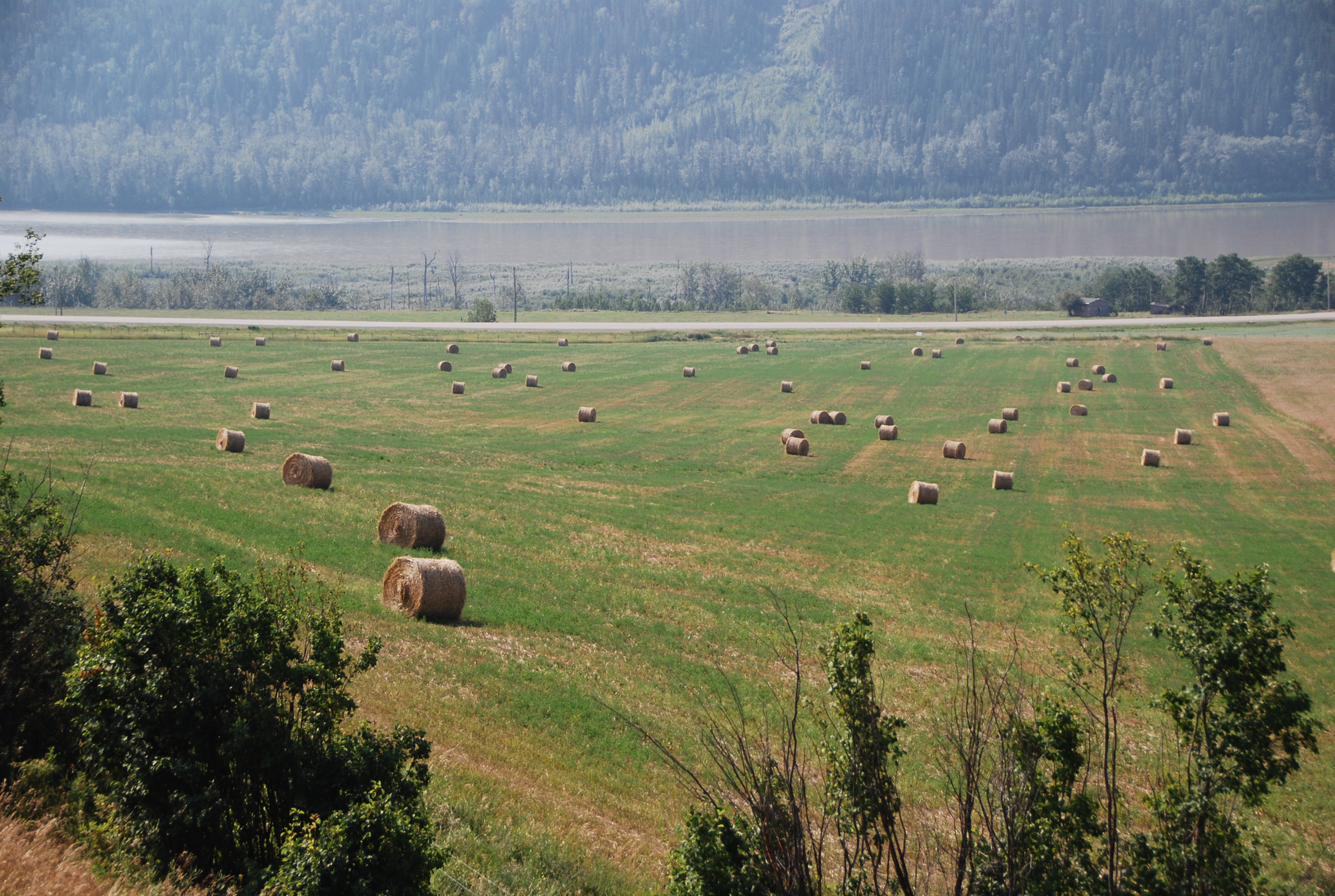 Northern Development approves more than $500,000 for 19 projects through the BC Hydro Peace Agricultural Compensation Fund