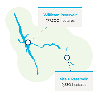 Reservoir size comparison