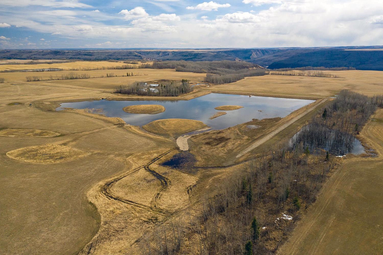 The Golata Creek wetlands main basin. Wetlands provide hundreds of species with safe spaces to eat, sleep and raise their young. They also help to remove pollution, as well as regulate and clean water in the ecosystem. | April 2021