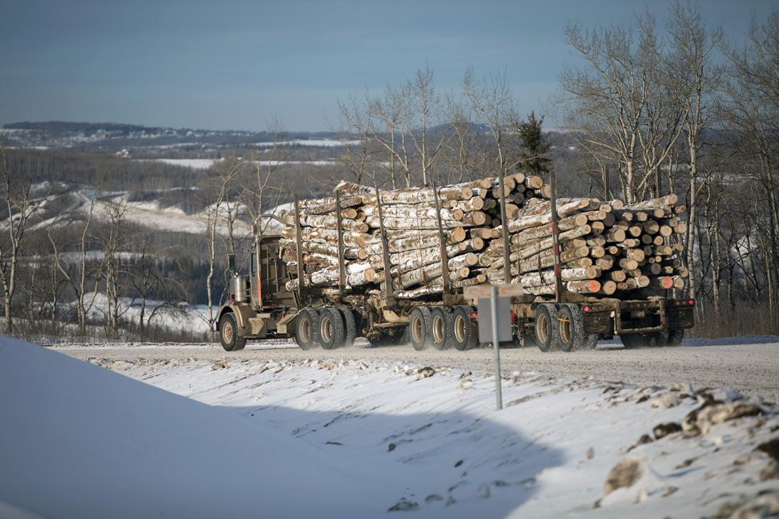 Merchantable timber being transported to local mills | January 2018