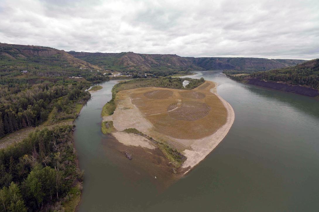 Downstream of the Site C dam, P6 Island was contoured to prevent fish stranding as water levels fluctuate below the dam. It has been replanted with local plant species. | August 2024