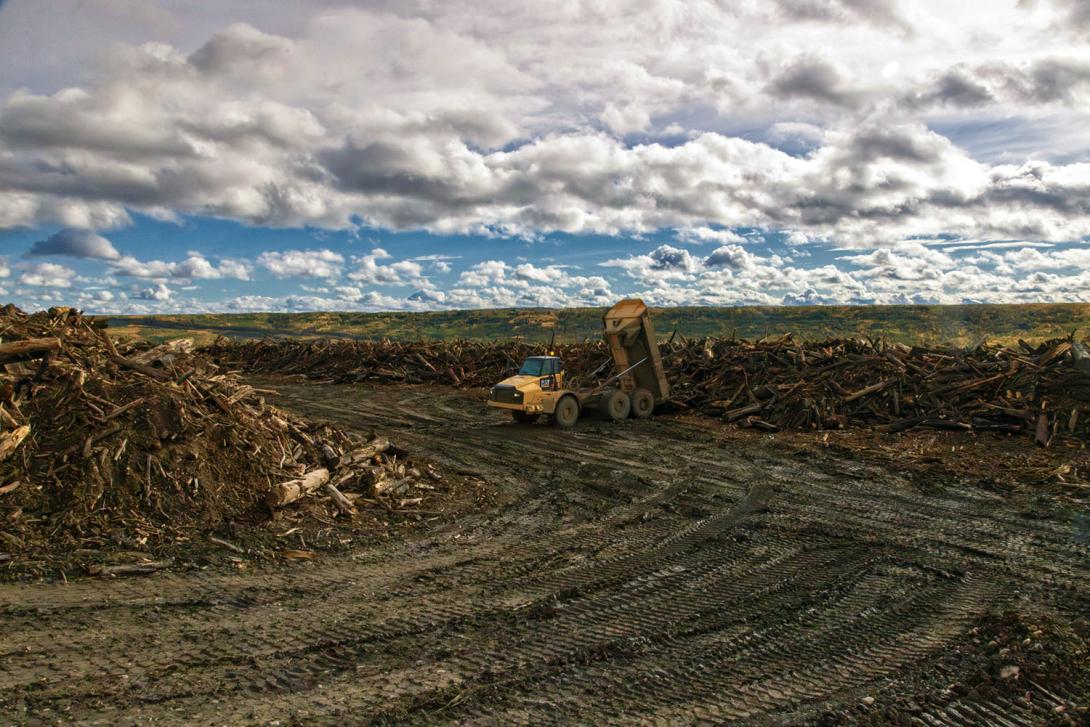 Debris removed from the reservoir area is stockpiled for use in ongoing reclamation work. | September 2024